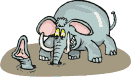 elephant30.gif